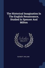 THE HISTORICAL IMAGINATION IN THE ENGLIS