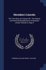 HERNDON'S LINCOLN: THE TRUE STORY OF A G