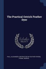 THE PRACTICAL OSTRICH FEATHER DYER