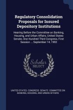 REGULATORY CONSOLIDATION PROPOSALS FOR I