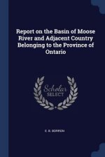 REPORT ON THE BASIN OF MOOSE RIVER AND A