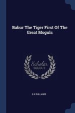 BABUR THE TIGER FIRST OF THE GREAT MOGUL