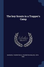THE BOY SCOUTS IN A TRAPPER'S CAMP