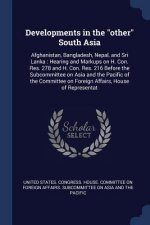 DEVELOPMENTS IN THE  OTHER  SOUTH ASIA: