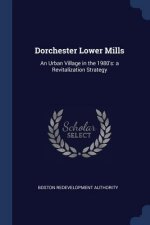 DORCHESTER LOWER MILLS: AN URBAN VILLAGE
