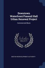 DOWNTOWN WATERFRONT FANEUIL HALL URBAN R