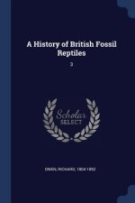 A HISTORY OF BRITISH FOSSIL REPTILES: 3