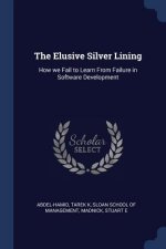 THE ELUSIVE SILVER LINING: HOW WE FAIL T