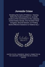 JUVENILE CRIME: BREAKING THE CYCLE OF VI