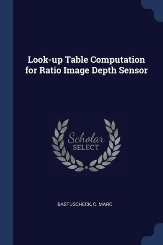 LOOK-UP TABLE COMPUTATION FOR RATIO IMAG