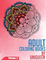 Adult Coloring Book - Stress Relieving Mandala Coloring Book: Traditional and modern mandalas