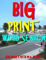 Big Print Word Search: 133 Entertaining Themed Puzzles