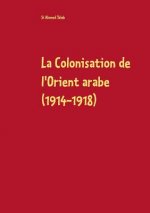 Colonisation de l'Orient arabe (1914-1918)