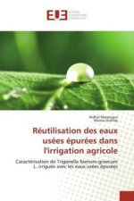 Réutilisation des eaux usées épurées dans l'irrigation agricole