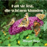 Halt sie fest, die schoenen Stunden
