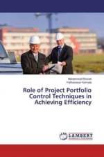 Role of Project Portfolio Control Techniques in Achieving Efficiency