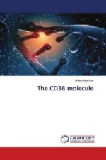 The CD38 molecule