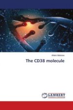 The CD38 molecule