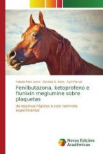 Privatizacoes no Brasil