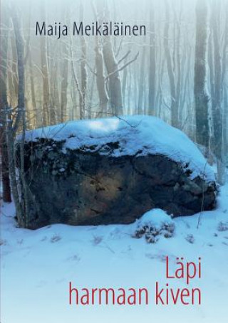 Lapi harmaan kiven