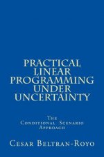 Practical Linear Programming under Uncertainty: The Conditional Scenario Approach