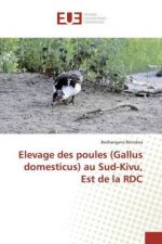 Elevage des poules (Gallus domesticus) au Sud-Kivu, Est de la RDC