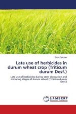 Late use of herbicides in durum wheat crop (Triticum durum Desf.)