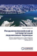 Pozdnepaleozojskij i chetvertichnyj lednikovye periody