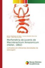 Morfometria de Juvenis de Macrobrachium Amazonicum (Heller, 1862)