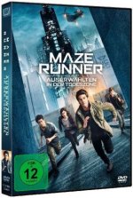 Maze Runner: Die Auserwählten in der Todeszone, 1 DVD