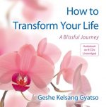 How to Transform Your Life: A Blissful Journey