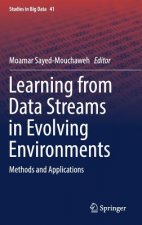 Learning from Data Streams in Evolving Environments