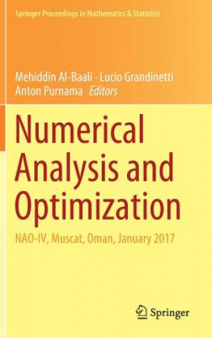 Numerical Analysis and Optimization