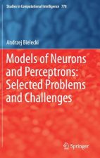 Models of Neurons and Perceptrons: Selected Problems and Challenges
