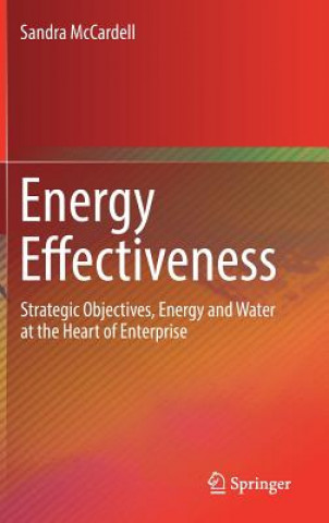 Energy Effectiveness