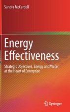 Energy Effectiveness
