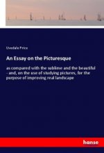Essay on the Picturesque