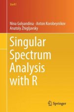 Singular Spectrum Analysis with R