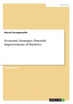 Economic Strategies. Potential Improvements of Burberry