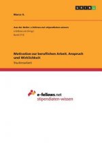 Motivation zur beruflichen Arbeit. Anspruch und Wirklichkeit