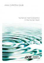 Numerical Haemodynamics in the Human Heart