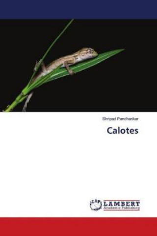 Calotes