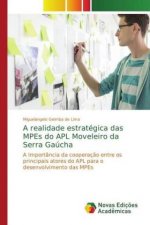 realidade estrategica das MPEs do APL Moveleiro da Serra Gaucha