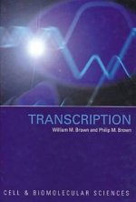 Transcription
