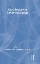 Civil Society in Democratization