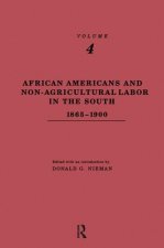African-Americans and Non-Agricultural Labor in the South 1865-1900