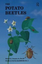 Potato Beetles