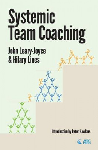 Systemic Team Coaching