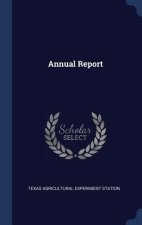 ANNUAL REPORT