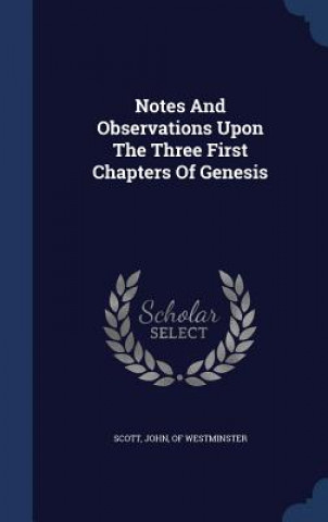 NOTES AND OBSERVATIONS UPON THE THREE FI